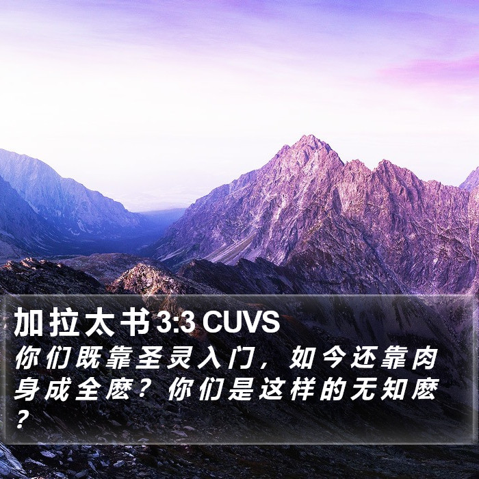 加 拉 太 书 3:3 CUVS Bible Study