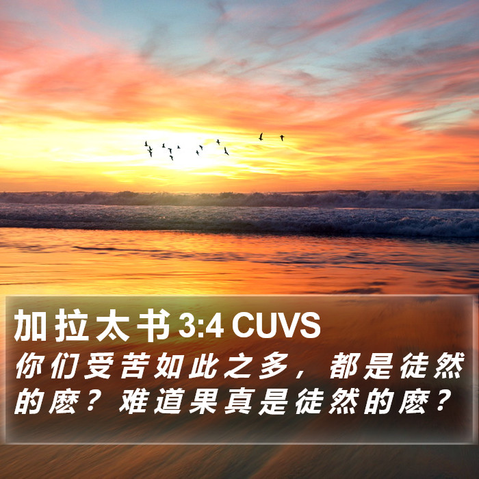加 拉 太 书 3:4 CUVS Bible Study