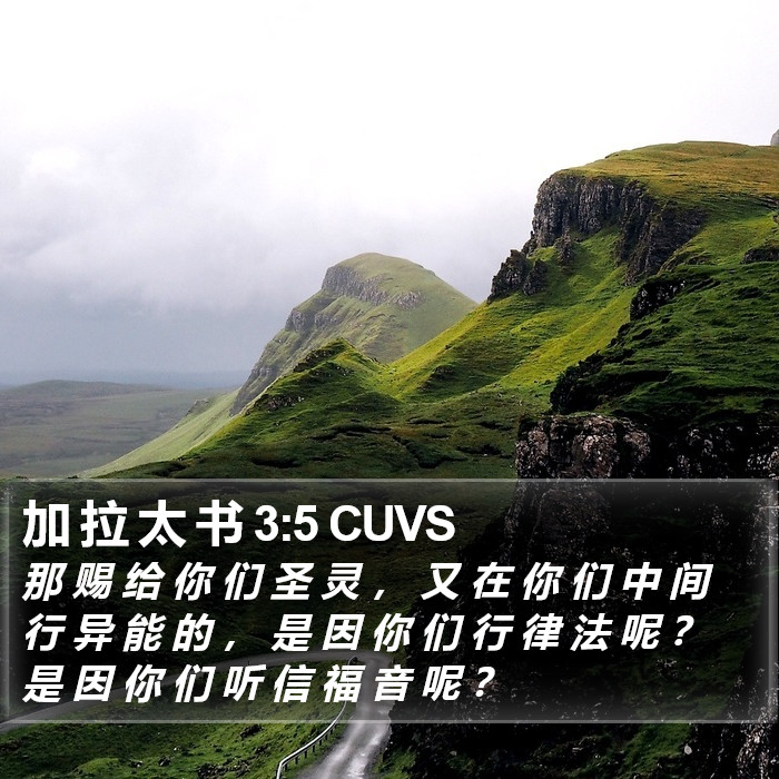 加 拉 太 书 3:5 CUVS Bible Study
