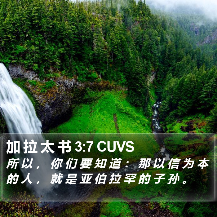 加 拉 太 书 3:7 CUVS Bible Study