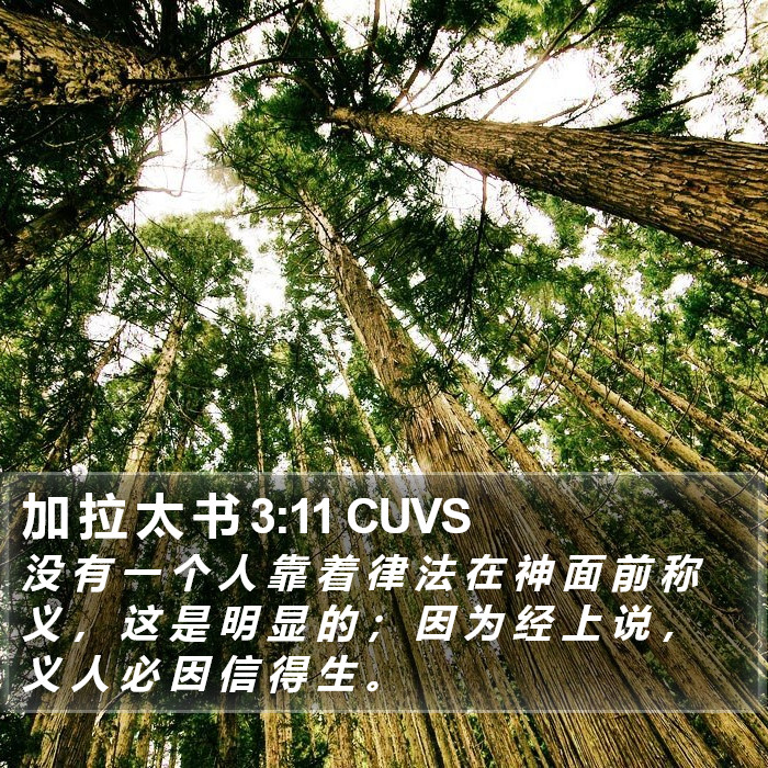 加 拉 太 书 3:11 CUVS Bible Study