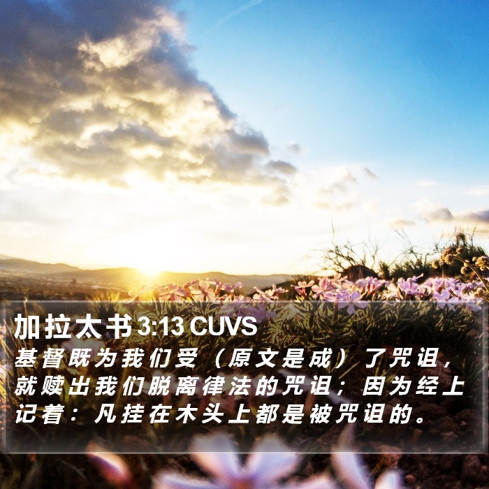 加 拉 太 书 3:13 CUVS Bible Study