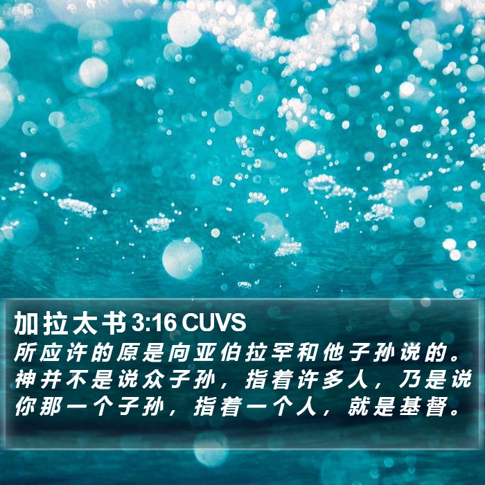 加 拉 太 书 3:16 CUVS Bible Study