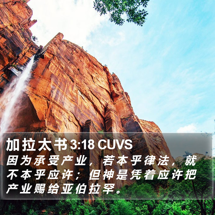 加 拉 太 书 3:18 CUVS Bible Study