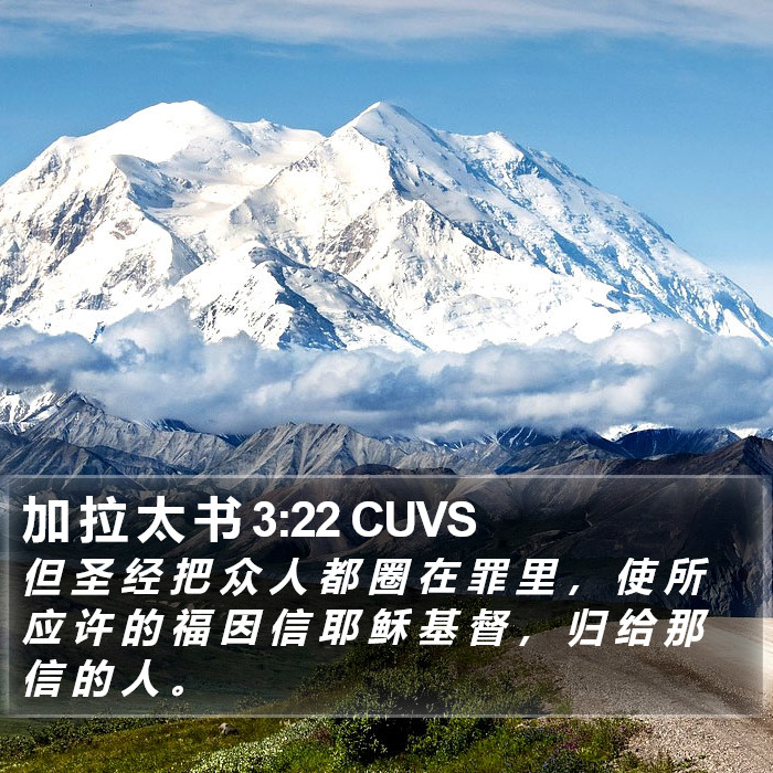 加 拉 太 书 3:22 CUVS Bible Study