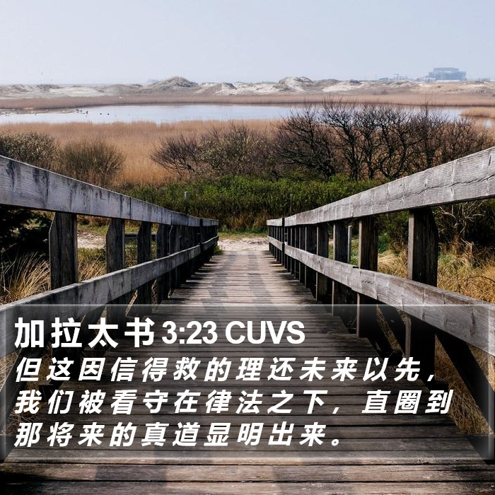 加 拉 太 书 3:23 CUVS Bible Study