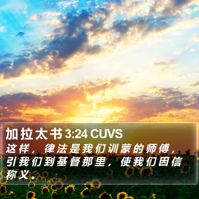 加 拉 太 书 3:24 CUVS Bible Study