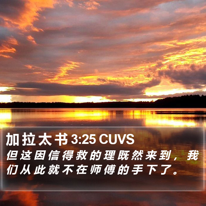 加 拉 太 书 3:25 CUVS Bible Study