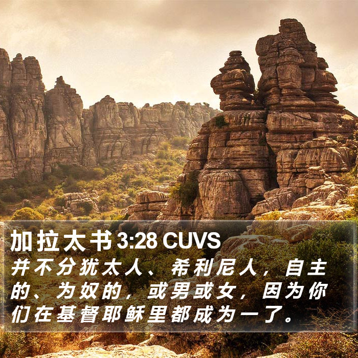 加 拉 太 书 3:28 CUVS Bible Study