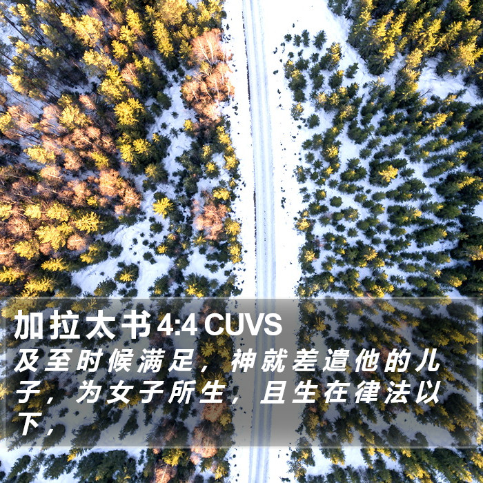 加 拉 太 书 4:4 CUVS Bible Study