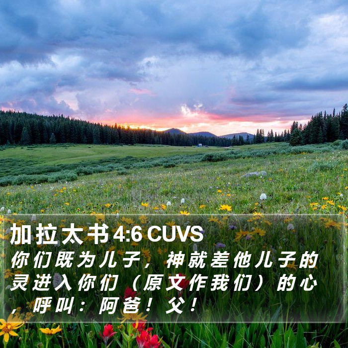 加 拉 太 书 4:6 CUVS Bible Study