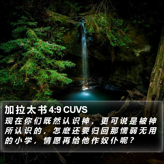 加 拉 太 书 4:9 CUVS Bible Study