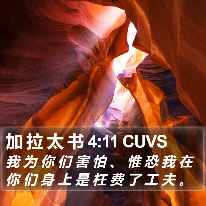 加 拉 太 书 4:11 CUVS Bible Study