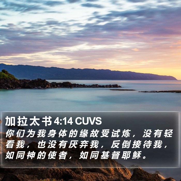 加 拉 太 书 4:14 CUVS Bible Study