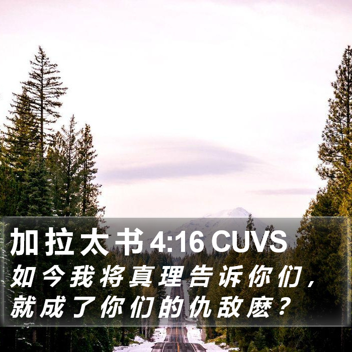 加 拉 太 书 4:16 CUVS Bible Study