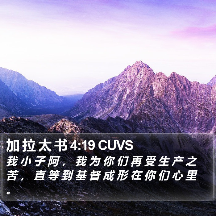 加 拉 太 书 4:19 CUVS Bible Study