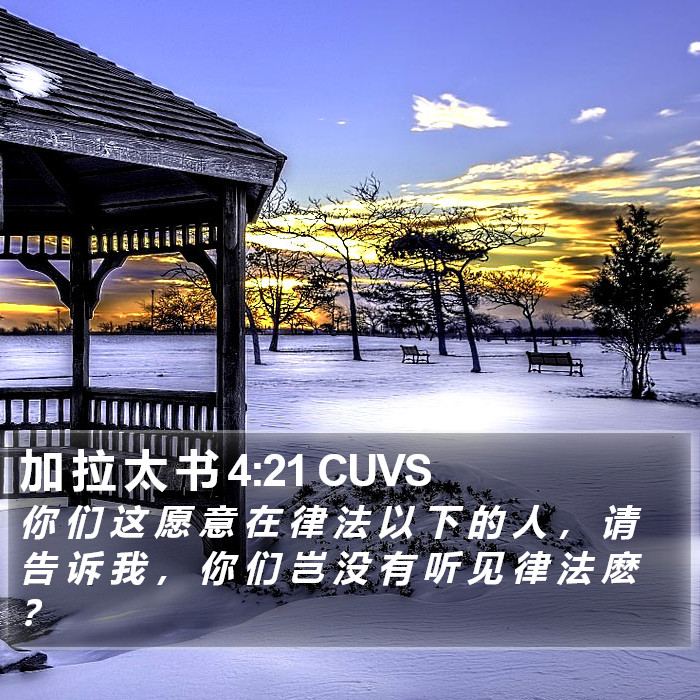 加 拉 太 书 4:21 CUVS Bible Study