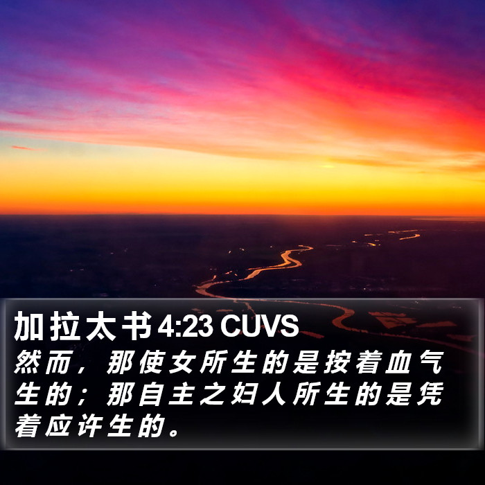 加 拉 太 书 4:23 CUVS Bible Study