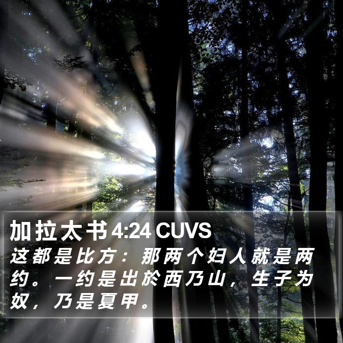 加 拉 太 书 4:24 CUVS Bible Study