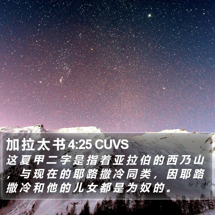 加 拉 太 书 4:25 CUVS Bible Study