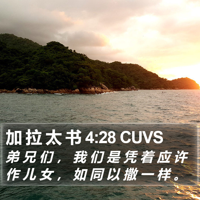 加 拉 太 书 4:28 CUVS Bible Study