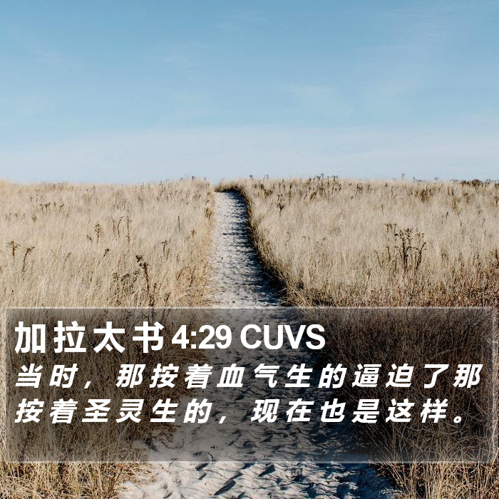 加 拉 太 书 4:29 CUVS Bible Study