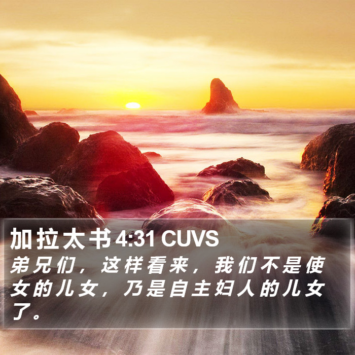 加 拉 太 书 4:31 CUVS Bible Study