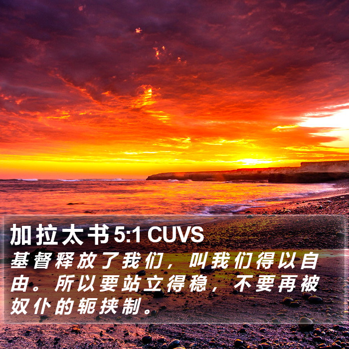 加 拉 太 书 5:1 CUVS Bible Study
