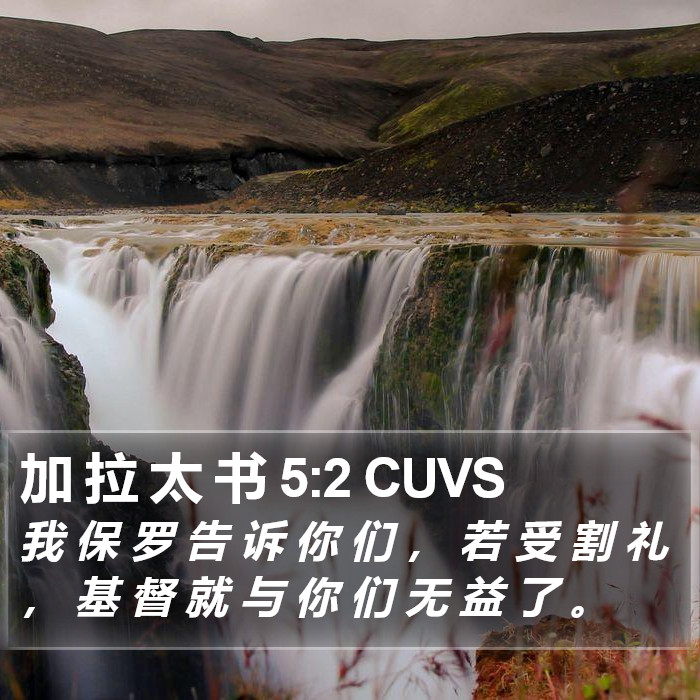 加 拉 太 书 5:2 CUVS Bible Study