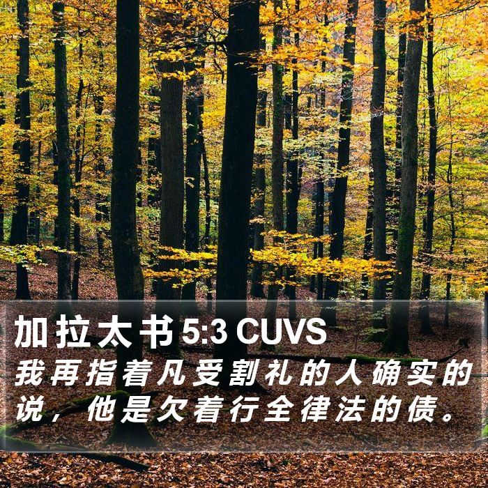 加 拉 太 书 5:3 CUVS Bible Study