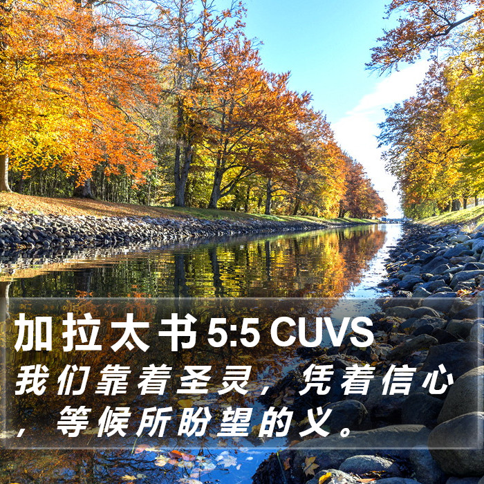 加 拉 太 书 5:5 CUVS Bible Study