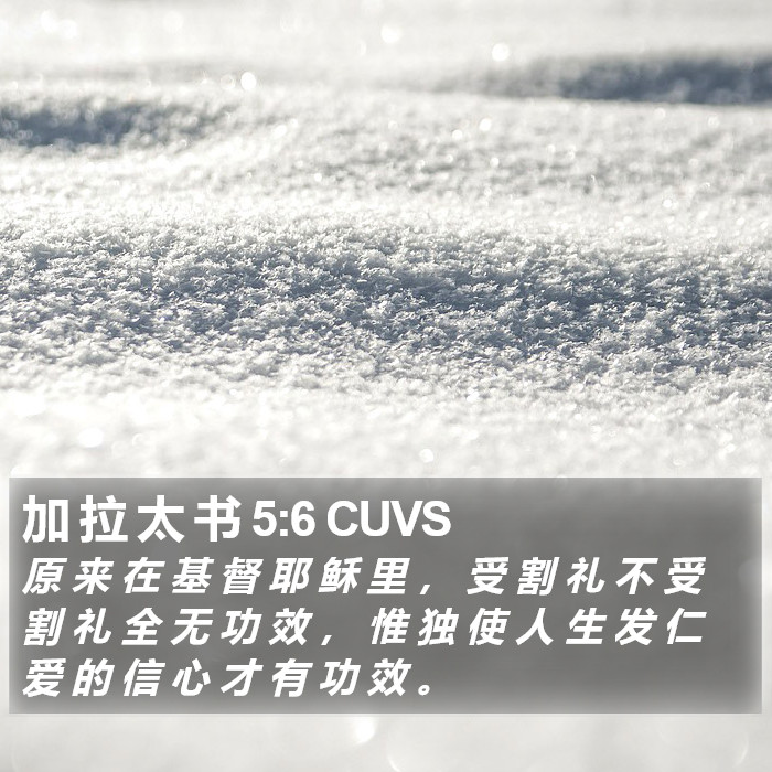 加 拉 太 书 5:6 CUVS Bible Study
