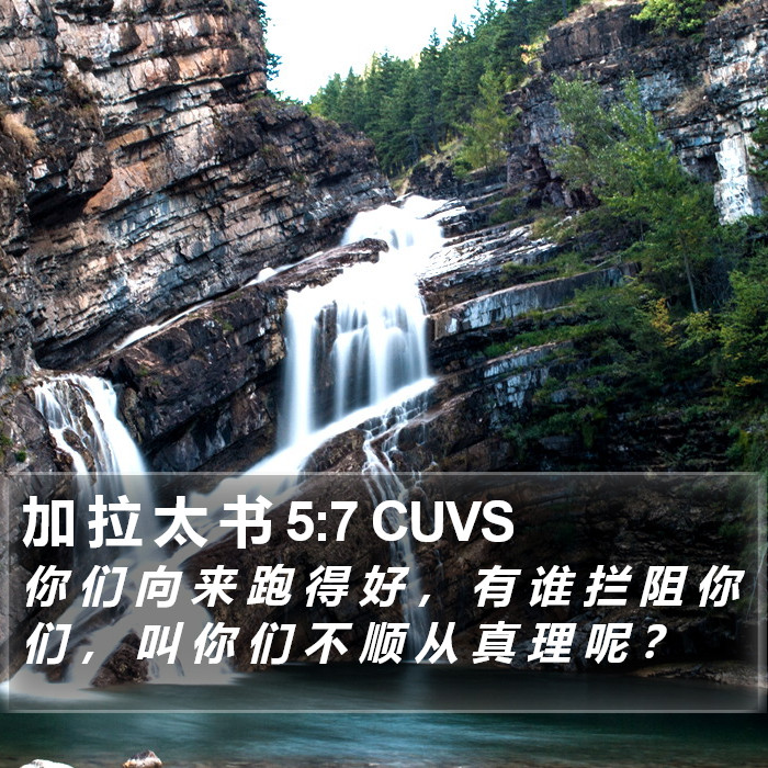 加 拉 太 书 5:7 CUVS Bible Study