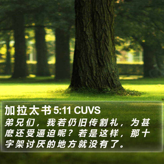 加 拉 太 书 5:11 CUVS Bible Study