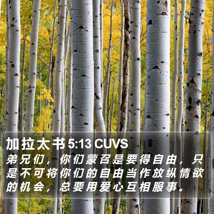 加 拉 太 书 5:13 CUVS Bible Study