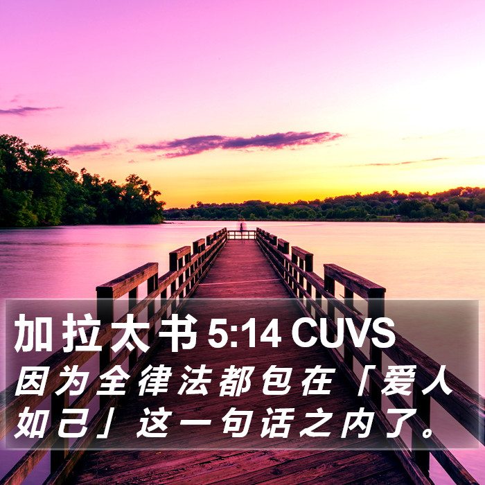加 拉 太 书 5:14 CUVS Bible Study