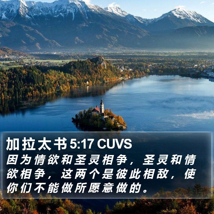 加 拉 太 书 5:17 CUVS Bible Study