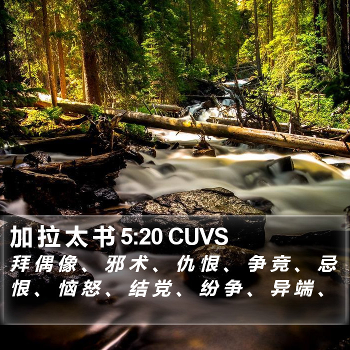 加 拉 太 书 5:20 CUVS Bible Study