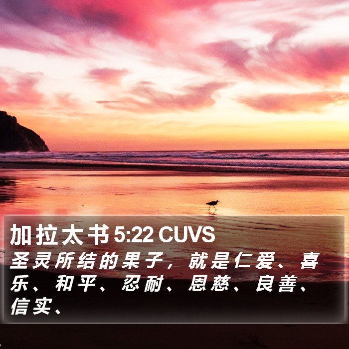 加 拉 太 书 5:22 CUVS Bible Study