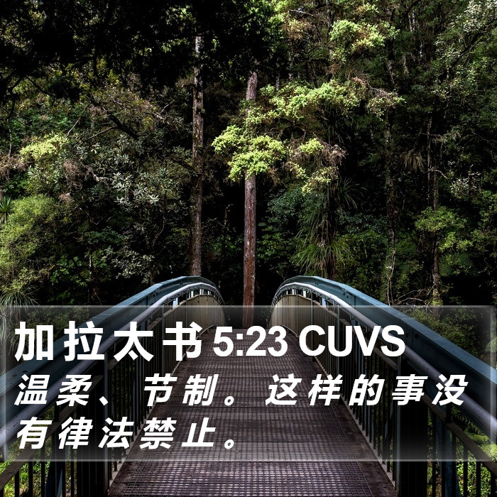 加 拉 太 书 5:23 CUVS Bible Study