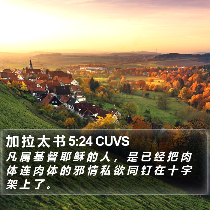 加 拉 太 书 5:24 CUVS Bible Study