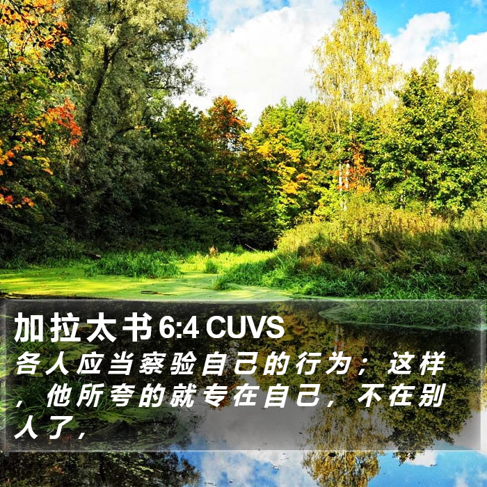 加 拉 太 书 6:4 CUVS Bible Study