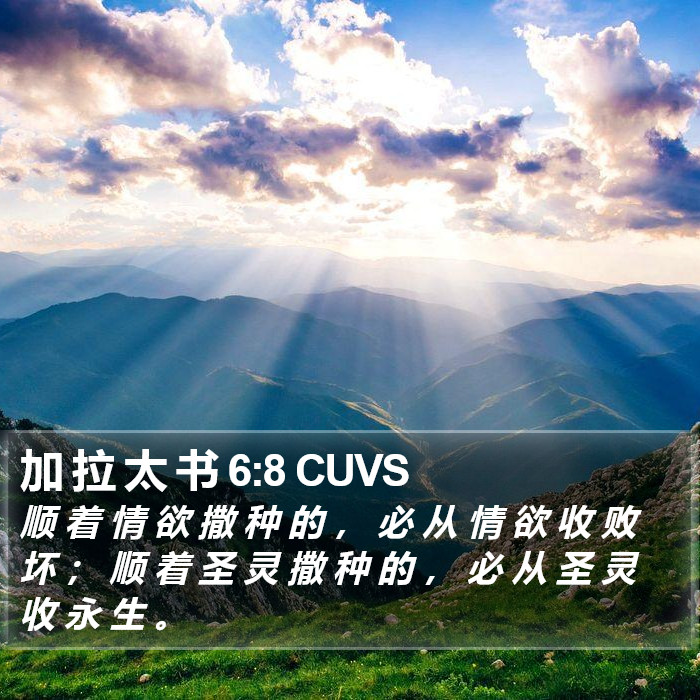 加 拉 太 书 6:8 CUVS Bible Study