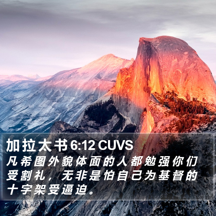 加 拉 太 书 6:12 CUVS Bible Study