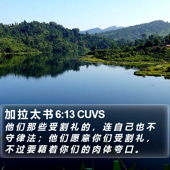 加 拉 太 书 6:13 CUVS Bible Study