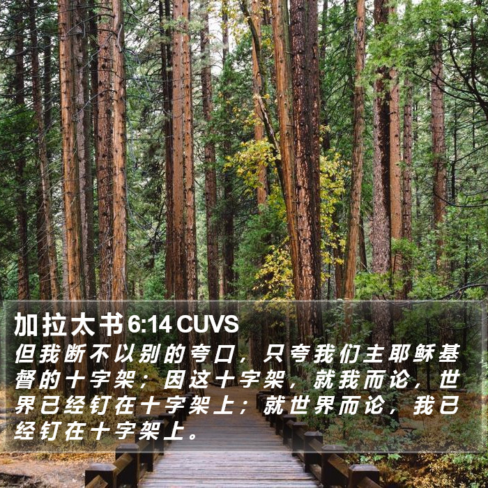 加 拉 太 书 6:14 CUVS Bible Study