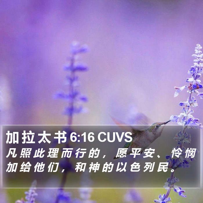 加 拉 太 书 6:16 CUVS Bible Study