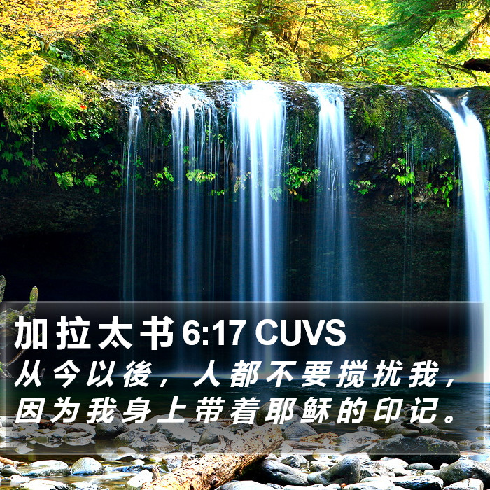 加 拉 太 书 6:17 CUVS Bible Study