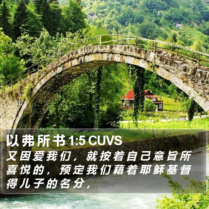 以 弗 所 书 1:5 CUVS Bible Study