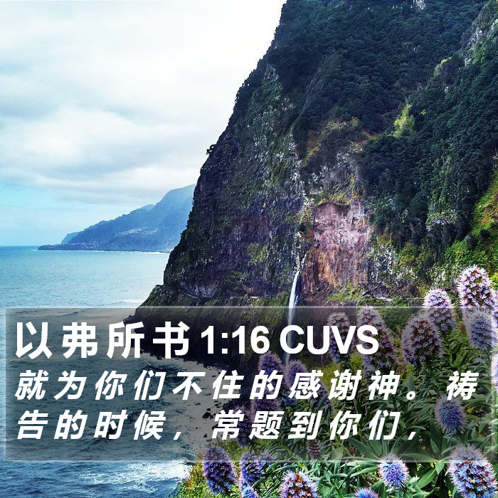 以 弗 所 书 1:16 CUVS Bible Study